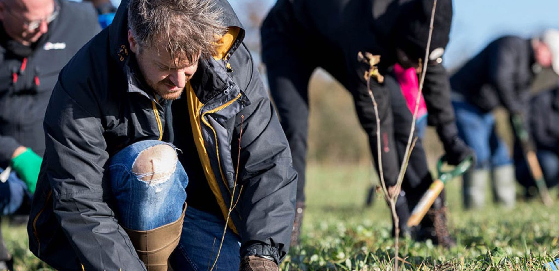 Planting trees